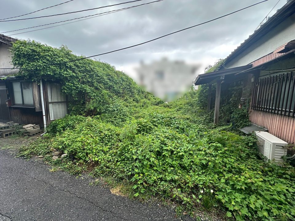 福岡市中央区の事例:買取前、ツタと雑草に覆われた老朽空き家